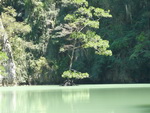 Golf von Phang Nag Seakayak  Lagune innerhalb einer Insel mit Baum (TH).